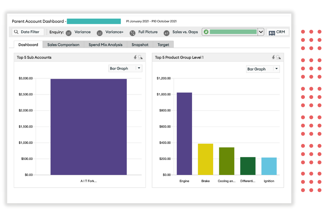 Run reports on customer data-1